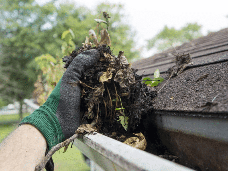 Gutter-Clean-Out-Services-in-Dallas-Tx