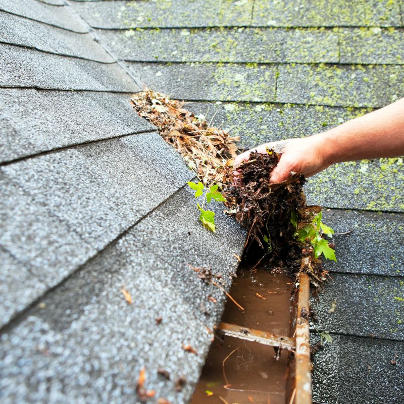 Gutter cleaning in Dallas Tx